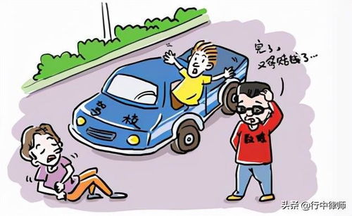 行中说法 驾校学员练车发生交通事故谁担责任